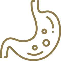 Gut health, detox, and microbiome support