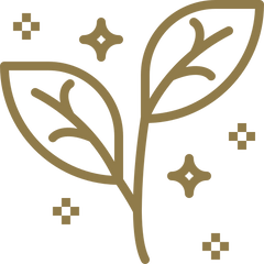 Personal stories & holistic healing journeys