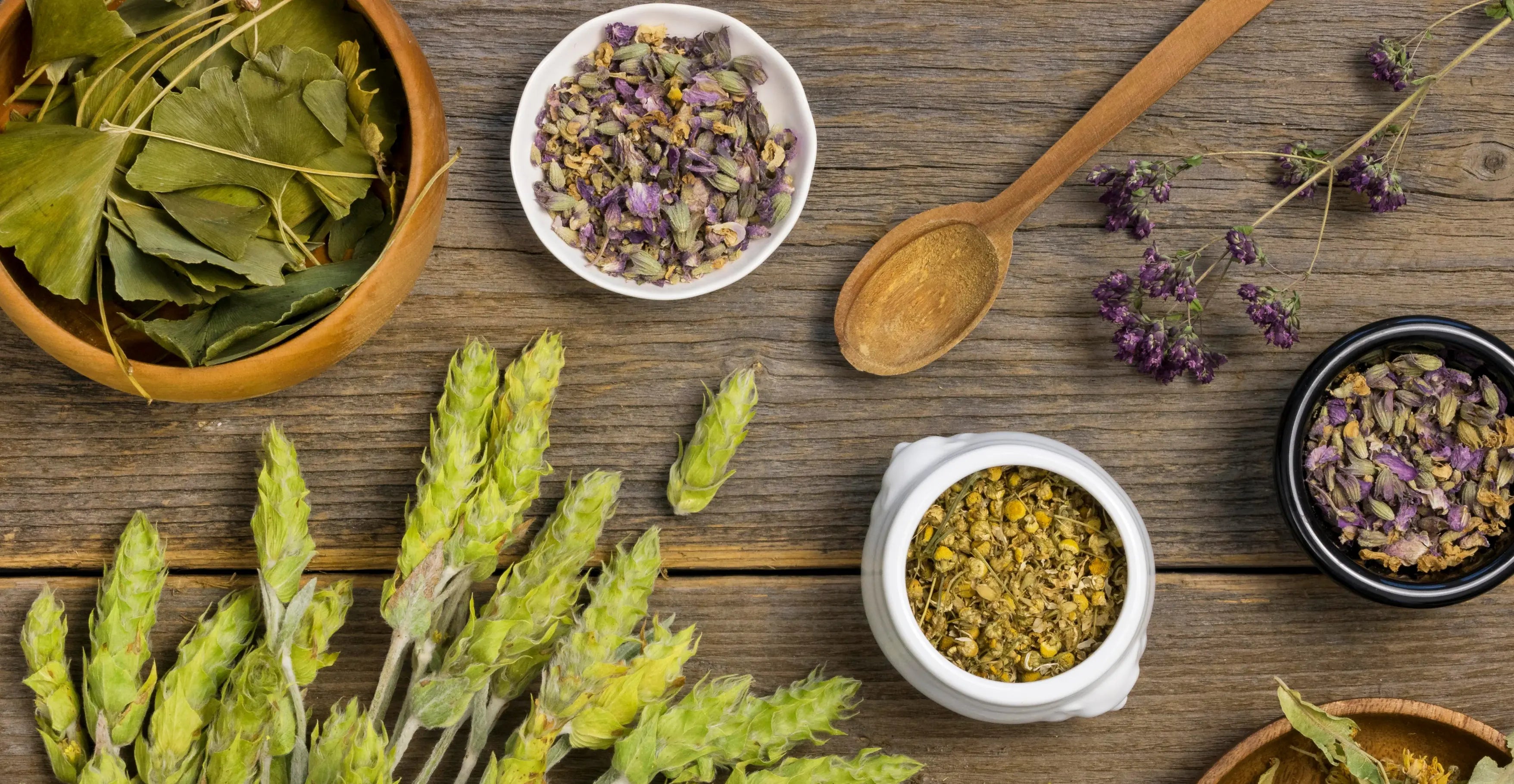 Natural Remedies for Eliminating Parasites