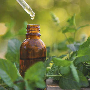 How to Prevent Parasitic Infections: Protect Your Gut, Brain, and Immune System