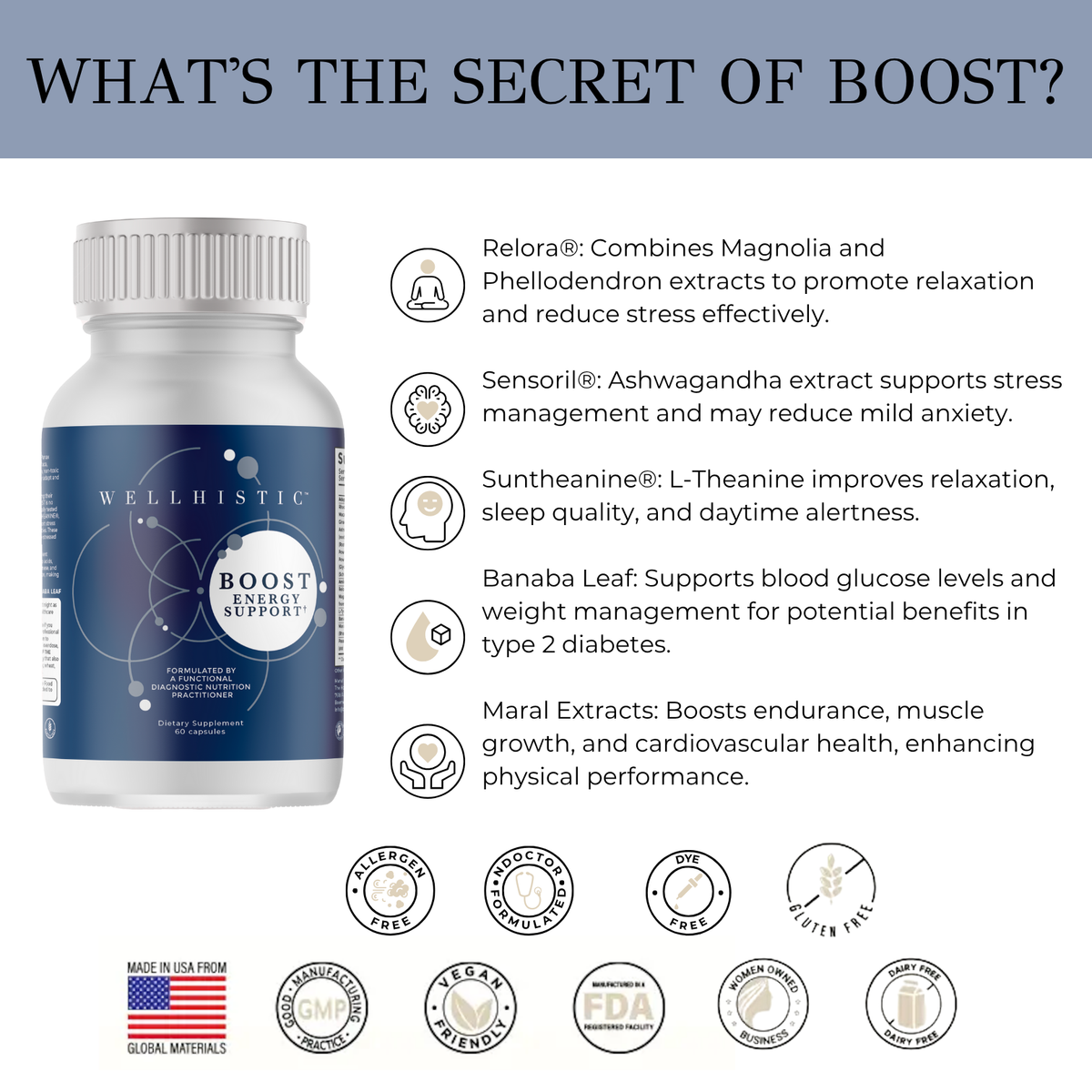 BOOST – Wellhistic