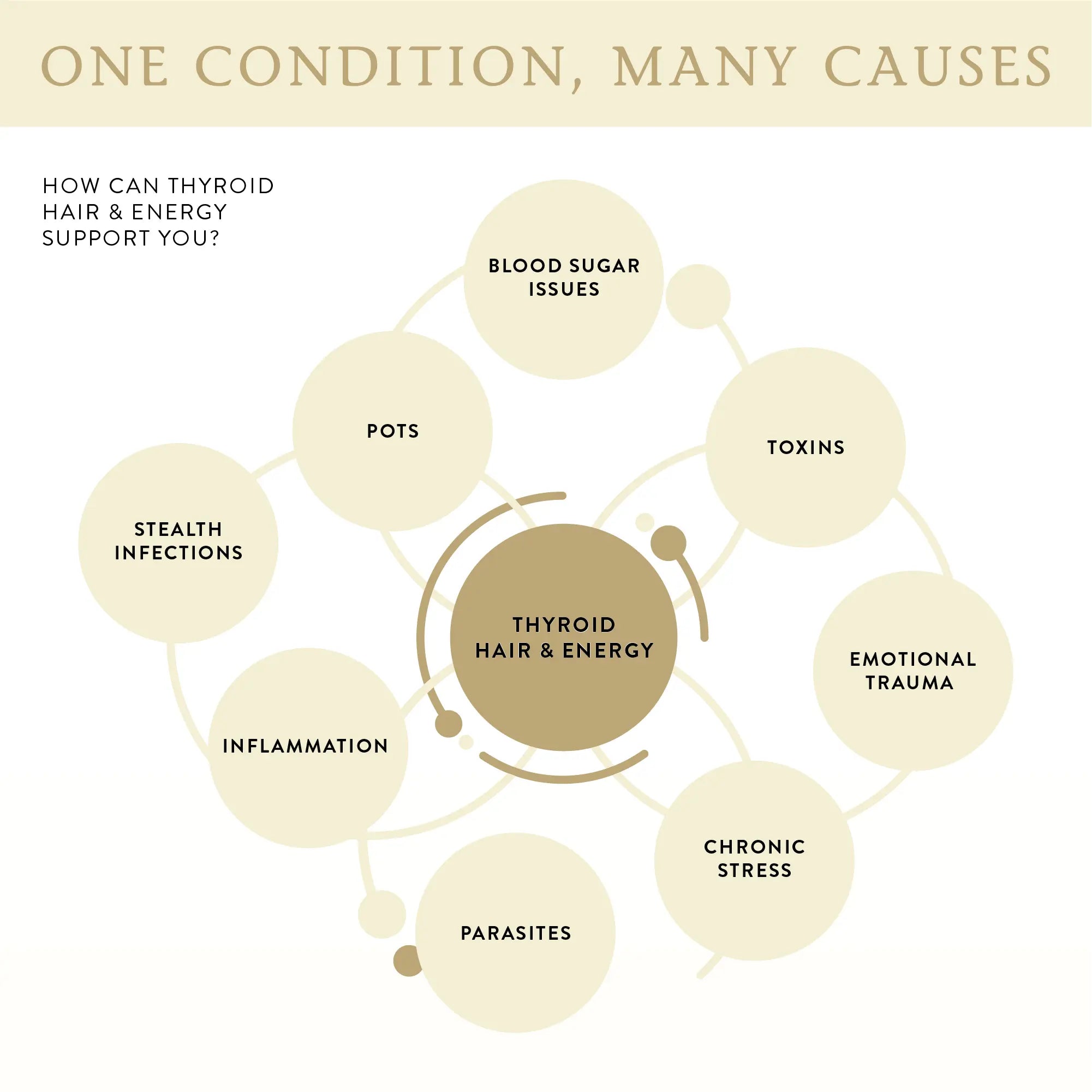 THYROID HAIR & ENERGY